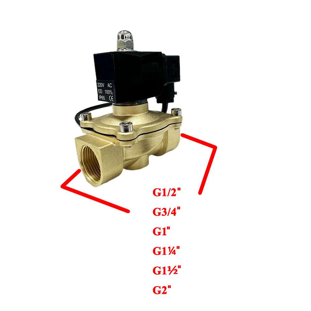 WIFI 2W Solenoid Valve (Option:AC220V AC110V  DC24V DC12V)